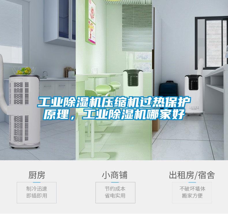 工業(yè)除濕機(jī)壓縮機(jī)過熱保護(hù)原理,工業(yè)除濕機(jī)哪家好