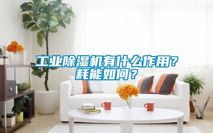 工業除濕機有什么作用？耗能如何？
