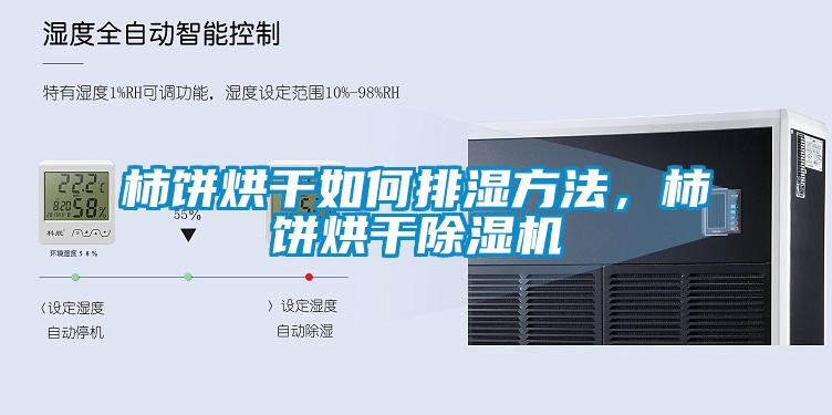 柿餅烘干如何排濕方法，柿餅烘干除濕機