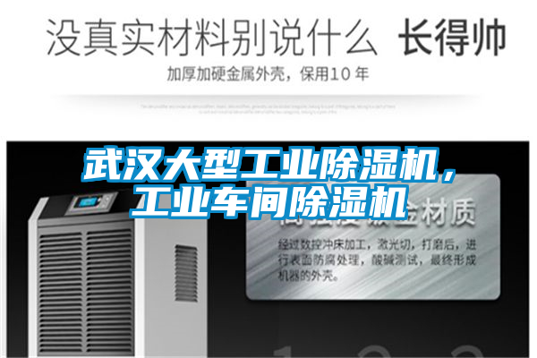 武漢大型工業(yè)除濕機,工業(yè)車間除濕機