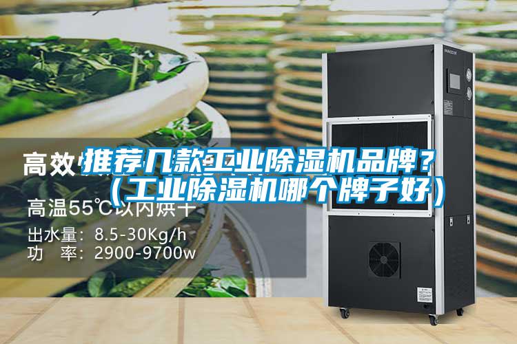 推薦幾款工業(yè)除濕機(jī)品牌？（工業(yè)除濕機(jī)哪個(gè)牌子好）