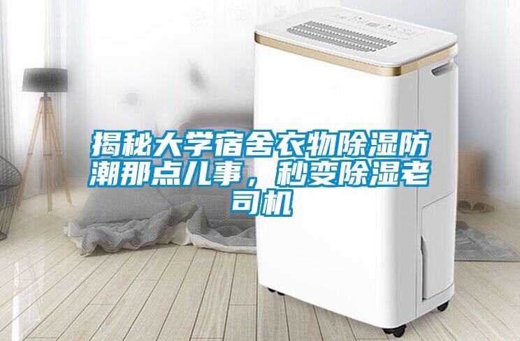 揭秘大學(xué)宿舍衣物除濕防潮那點(diǎn)兒事，秒變除濕老司機(jī)