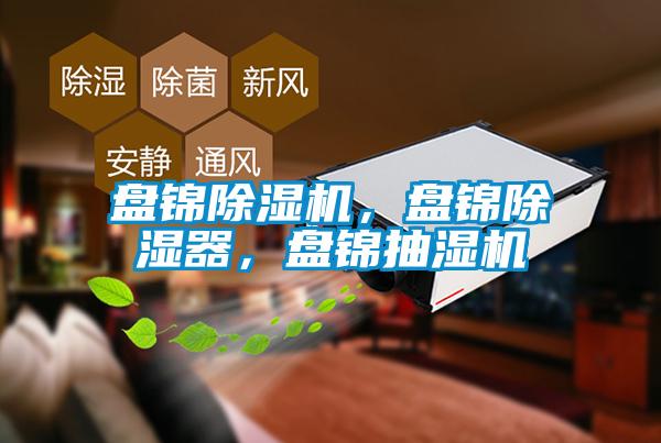 盤錦除濕機，盤錦除濕器，盤錦抽濕機