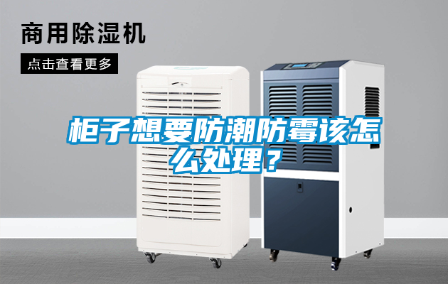 柜子想要防潮防霉該怎么處理？