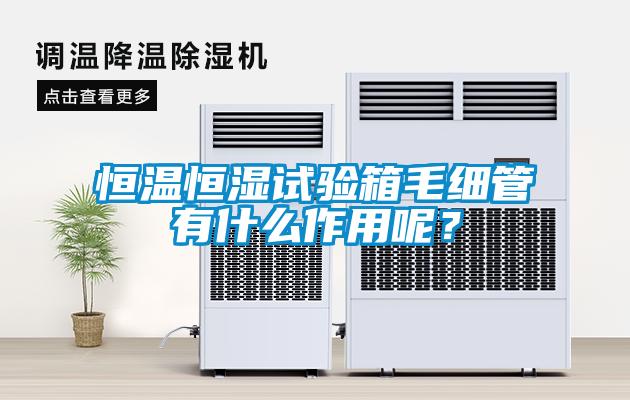 恒溫恒濕試驗(yàn)箱毛細(xì)管有什么作用呢？