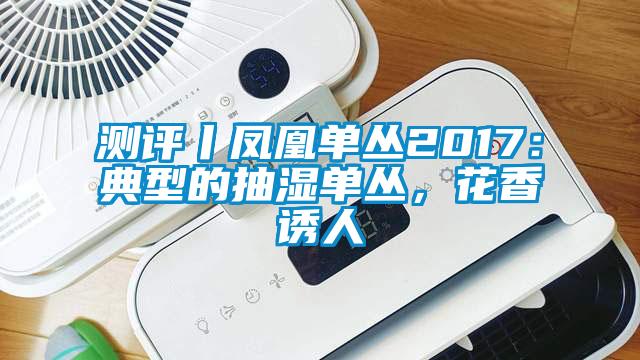 測評丨鳳凰單叢2017：典型的抽濕單叢，花香誘人