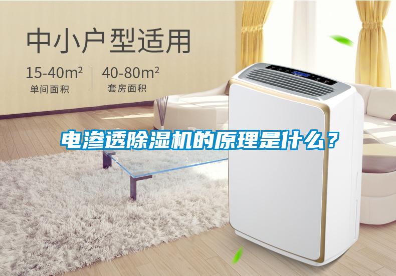 電滲透除濕機的原理是什么？