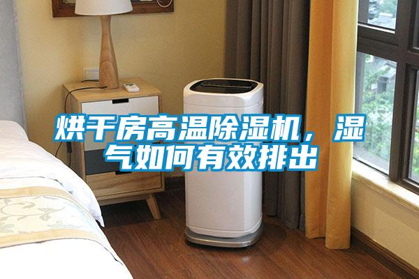 烘干房高溫除濕機，濕氣如何有效排出