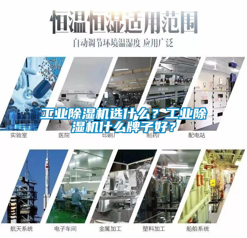 工業除濕機選什么?工業除濕機什么牌子好?