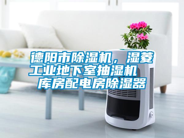 德陽市除濕機,濕菱工業(yè)地下室抽濕機  庫房配電房除濕器