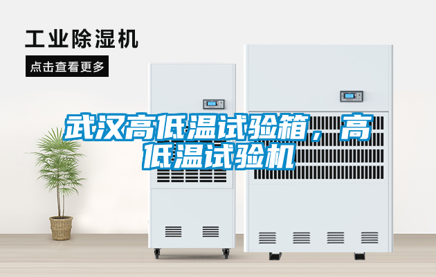 武漢高低溫試驗箱，高低溫試驗機(jī)