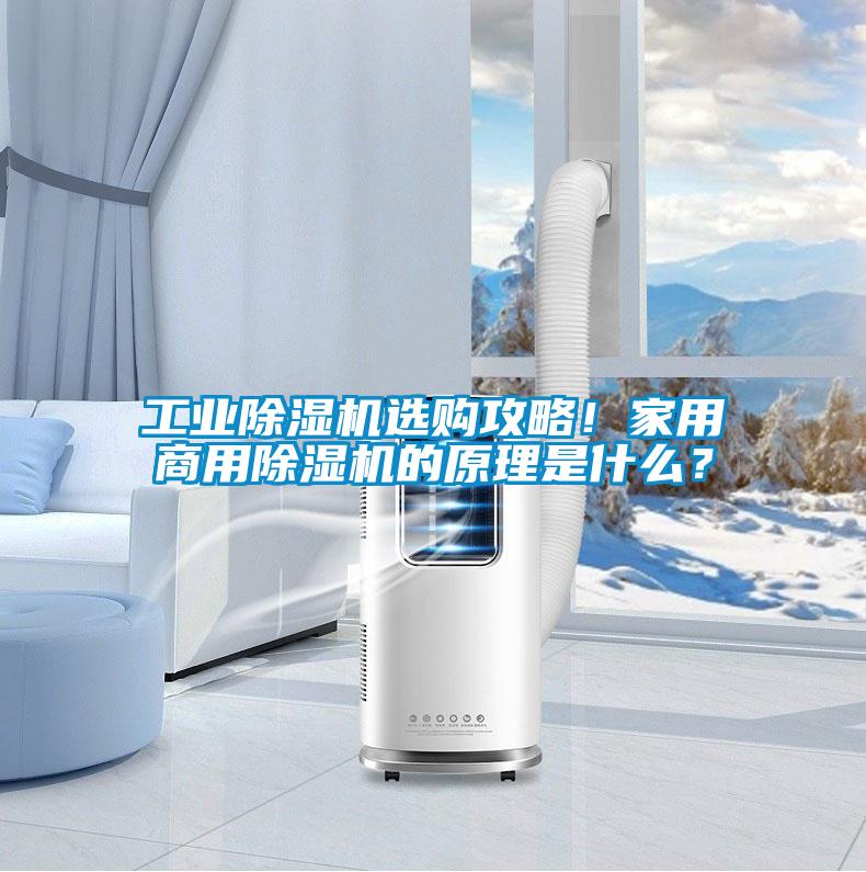 工業除濕機選購攻略!家用商用除濕機的原理是什么?