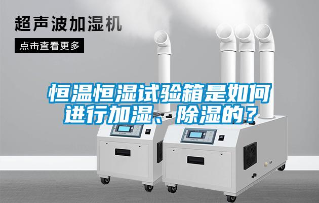 恒溫恒濕試驗(yàn)箱是如何進(jìn)行加濕、除濕的？