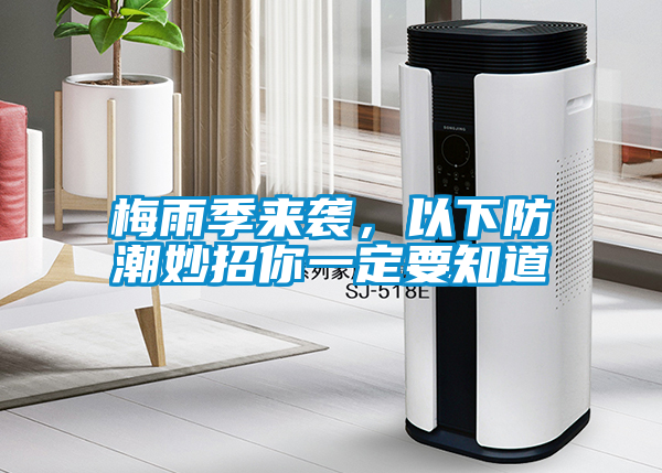 梅雨季來襲，以下防潮妙招你一定要知道