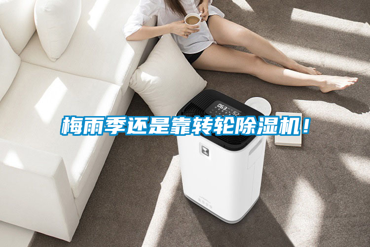 梅雨季還是靠轉(zhuǎn)輪除濕機！