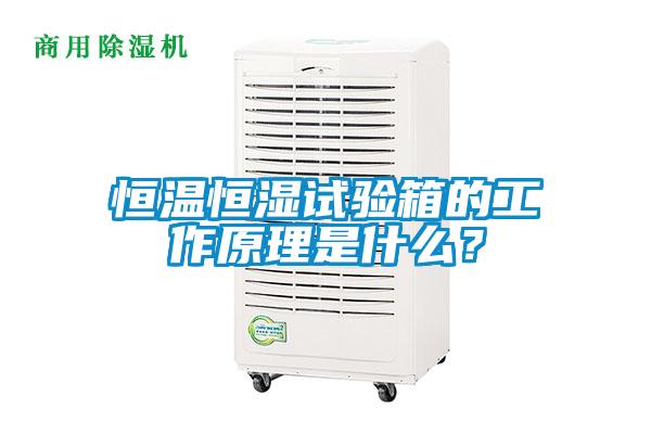 恒溫恒濕試驗箱的工作原理是什么？