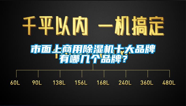 市面上商用除濕機(jī)十大品牌有哪幾個(gè)品牌?