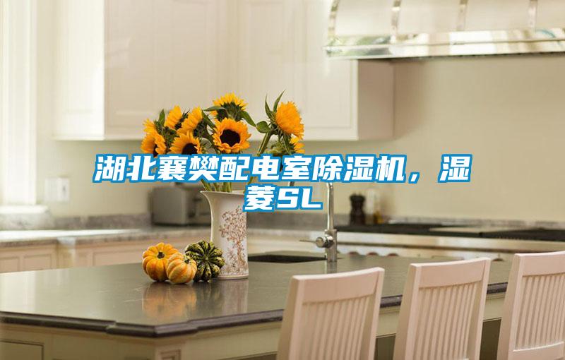 湖北襄樊配電室除濕機，濕菱SL
