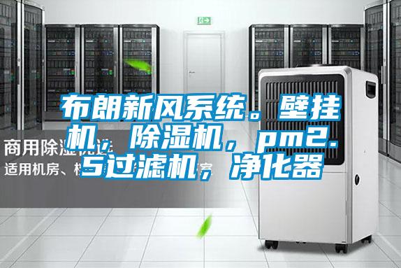 布朗新風(fēng)系統(tǒng)。壁掛機(jī),除濕機(jī),pm2.5過濾機(jī),凈化器