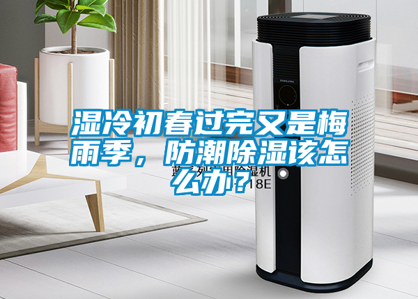 濕冷初春過完又是梅雨季，防潮除濕該怎么辦？