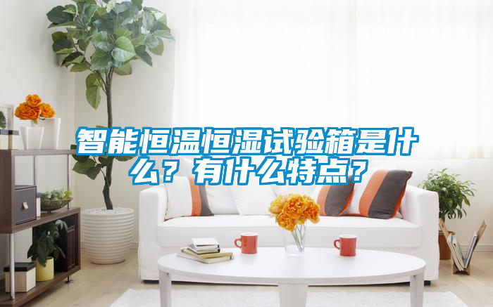 智能恒溫恒濕試驗箱是什么？有什么特點？