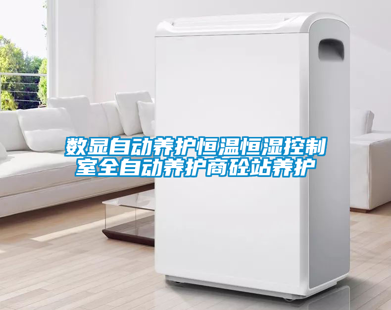 數顯自動養(yǎng)護恒溫恒濕控制室全自動養(yǎng)護商砼站養(yǎng)護