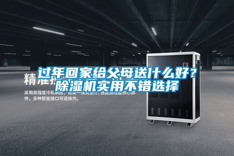 過年回家給父母送什么好?除濕機實用不錯選擇