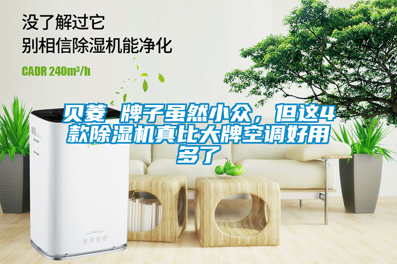 貝菱 牌子雖然小眾，但這4款除濕機真比大牌空調好用多了