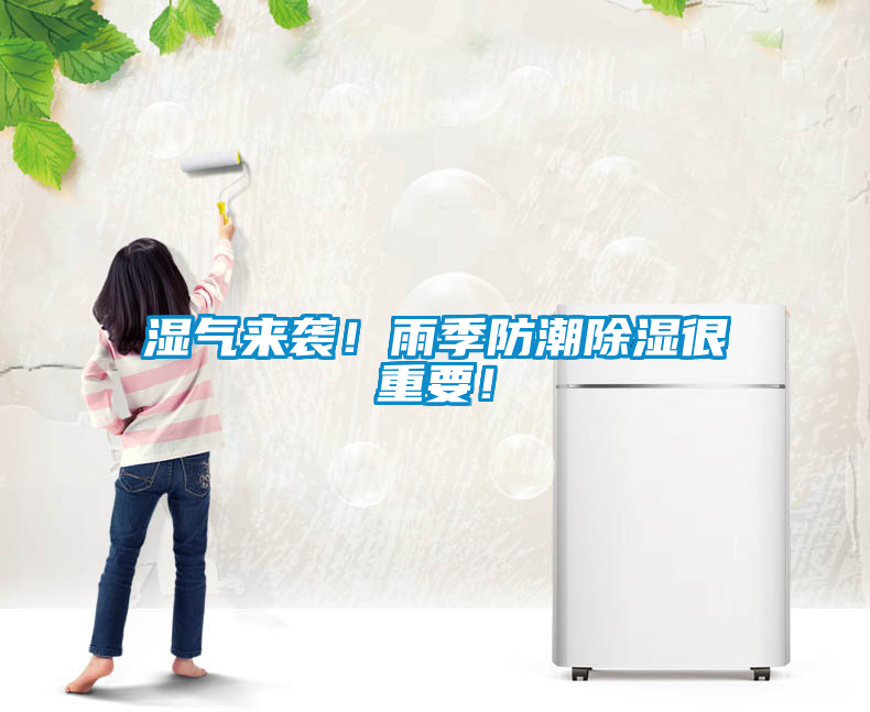 濕氣來(lái)襲！雨季防潮除濕很重要！