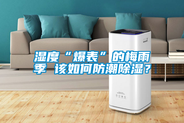 濕度“爆表”的梅雨季 該如何防潮除濕？