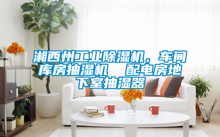 湘西州工業除濕機，車間庫房抽濕機  配電房地下室抽濕器