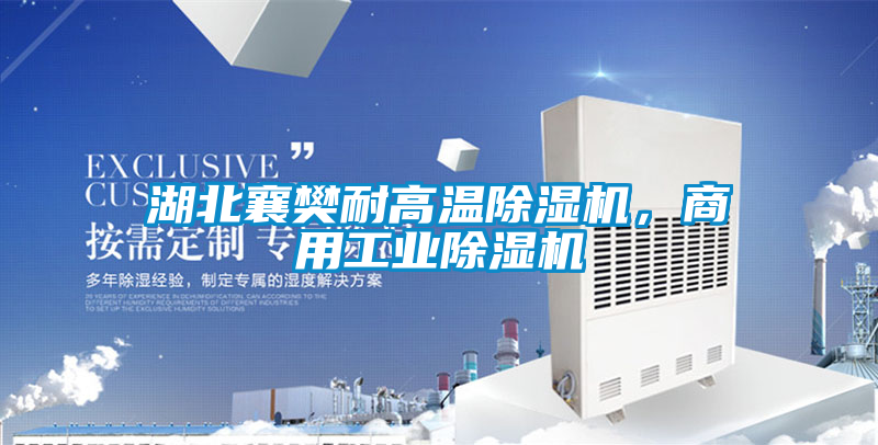 湖北襄樊耐高溫除濕機，商用工業除濕機