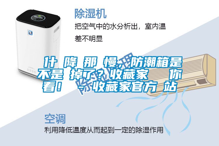 為什麼降濕那麼慢，防潮箱是不是壞掉了？收藏家實(shí)測(cè)給你看！ - 收藏家官方網(wǎng)站