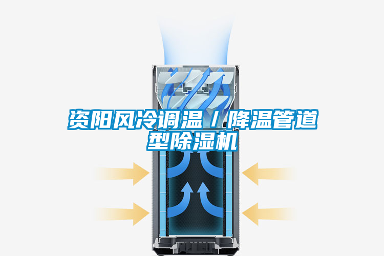 資陽風(fēng)冷調(diào)溫/降溫管道型除濕機(jī)