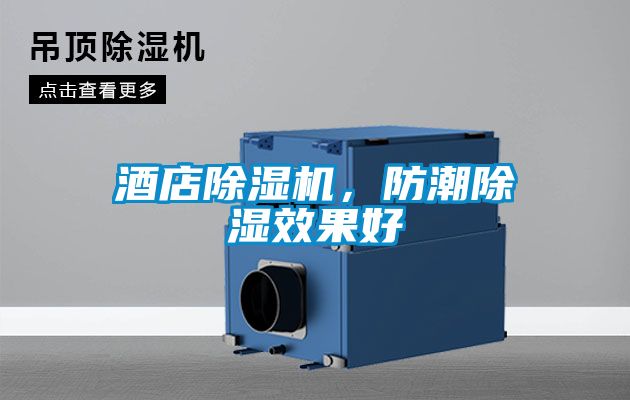 酒店除濕機，防潮除濕效果好