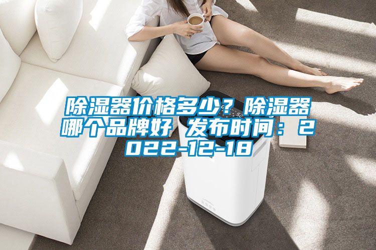 除濕器價格多少？除濕器哪個品牌好 發布時間：2022-12-18