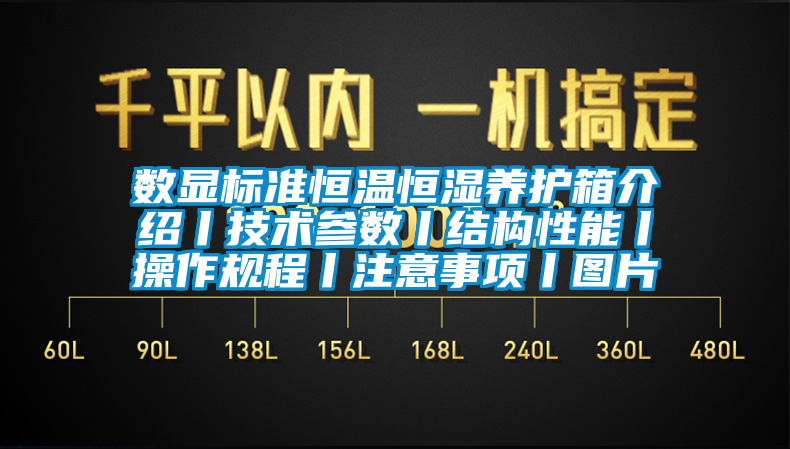 數顯標準恒溫恒濕養(yǎng)護箱介紹丨技術參數丨結構性能丨操作規(guī)程丨注意事項丨圖片