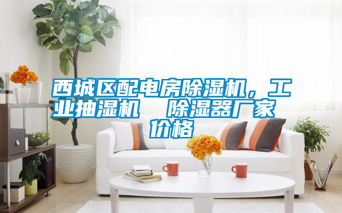 西城區(qū)配電房除濕機,工業(yè)抽濕機 除濕器廠家 價格