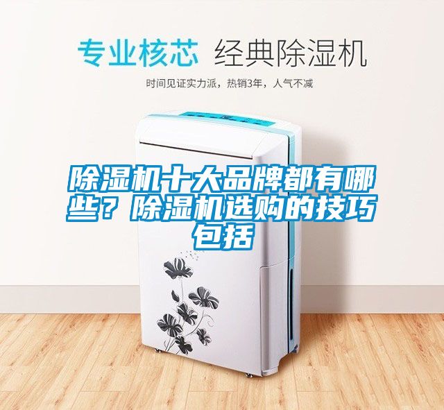 除濕機十大品牌都有哪些?除濕機選購的技巧包括