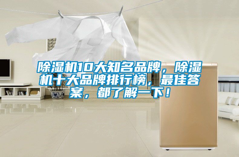 除濕機(jī)10大知名品牌，除濕機(jī)十大品牌排行榜，最佳答案，都了解一下！