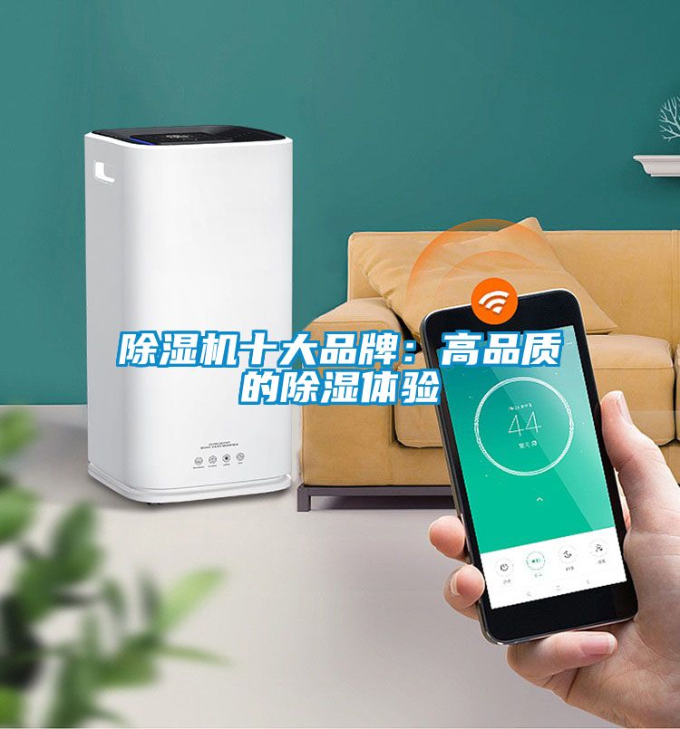 除濕機十大品牌:高品質的除濕體驗