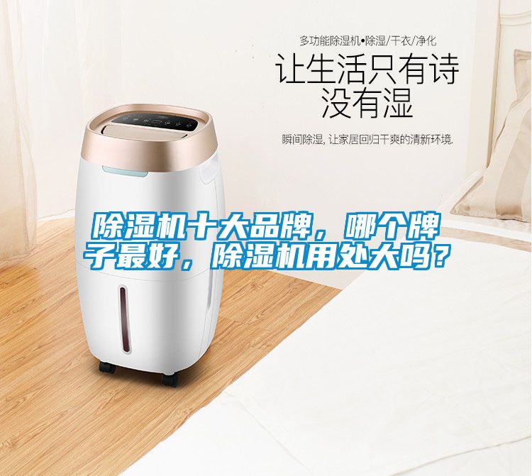除濕機十大品牌,哪個牌子最好,除濕機用處大嗎?