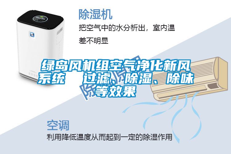 綠島風(fēng)機(jī)組空氣凈化新風(fēng)系統(tǒng)  過(guò)濾、除濕、除味等效果