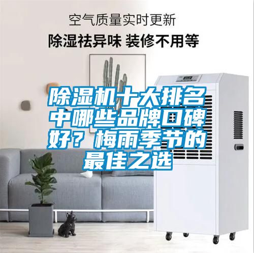 除濕機十大排名中哪些品牌口碑好?梅雨季節的最佳之選