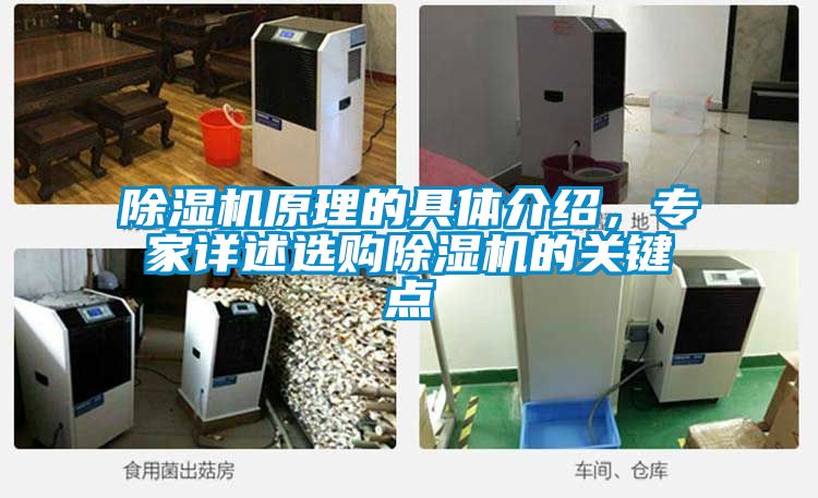 除濕機原理的具體介紹，專家詳述選購除濕機的關鍵點