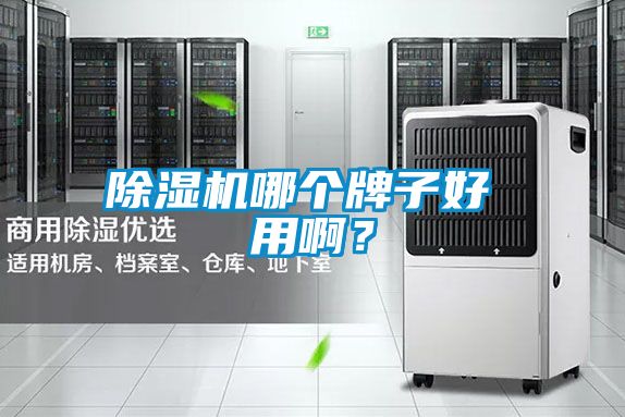 除濕機(jī)哪個(gè)牌子好 用??？