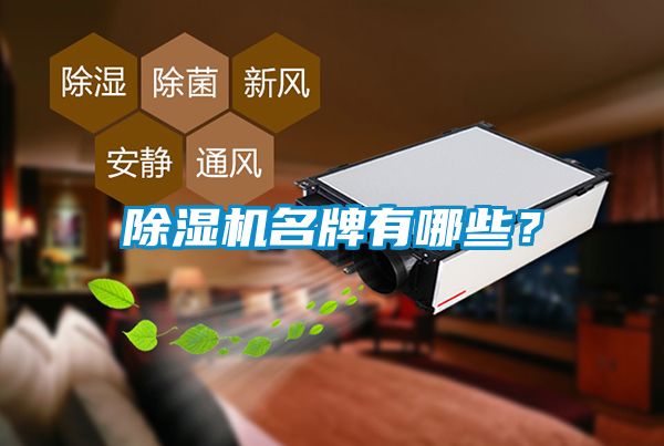 除濕機名牌有哪些？