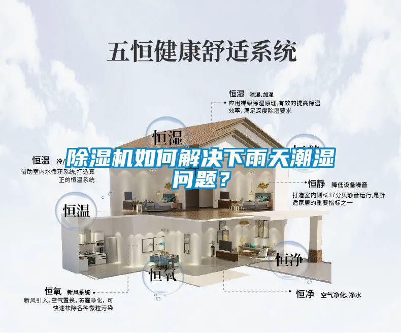 除濕機如何解決下雨天潮濕問題？