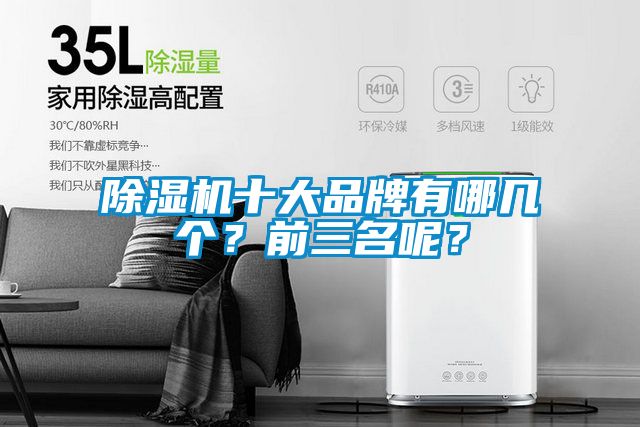 除濕機十大品牌有哪幾個?前三名呢?