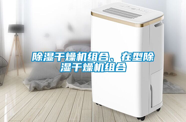 除濕干燥機組合、在型除濕干燥機組合